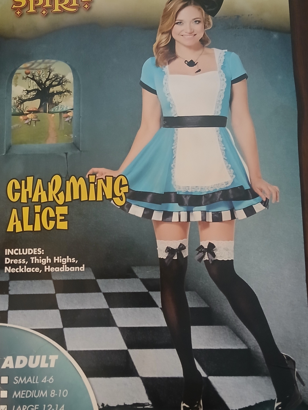 Spirit Charming Alice Costume in Blue, White and Black